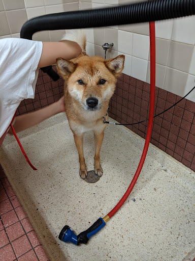 Pet Supply Store «Pet Food Express», reviews and photos, 785 Oak Grove Rd, Concord, CA 94518, USA