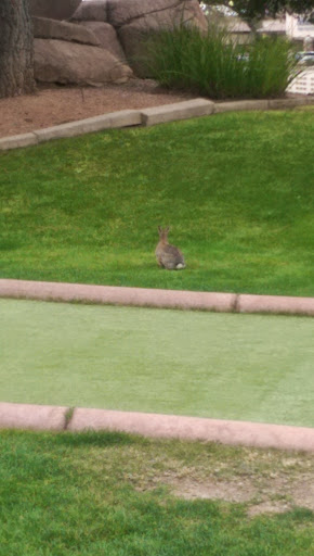 Amusement Park «CrackerJax», reviews and photos, 16001 N Scottsdale Rd, Scottsdale, AZ 85254, USA