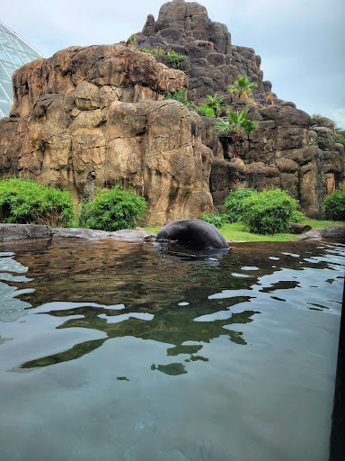 Zoo «Rainforest Pyramid», reviews and photos, 1 Hope Blvd, Galveston, TX 77554, USA