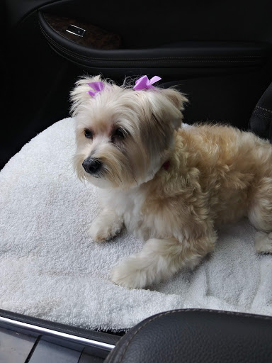 Pet Supply Store «Pet Supermarket», reviews and photos, 1809 S University Dr, Davie, FL 33324, USA