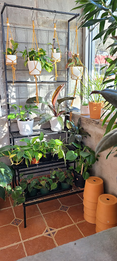 Florist «Ithaca Flower Shop», reviews and photos, 1201 N Tioga St, Ithaca, NY 14850, USA