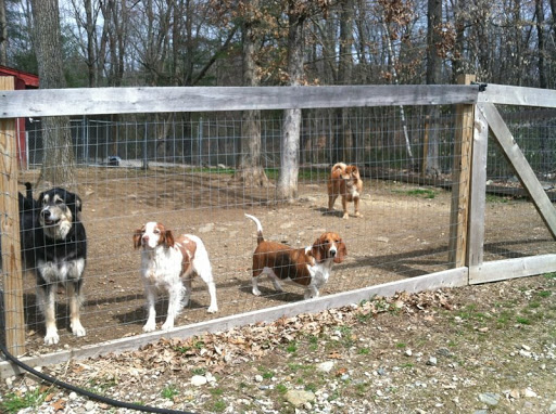 Morning Star Farm Pet Resort