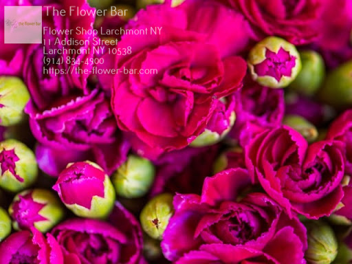 Florist «The Flower Bar», reviews and photos, 11 Addison St, Larchmont, NY 10538, USA