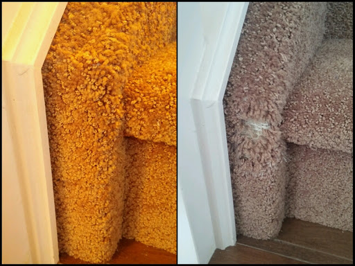 Dan's Carpet & Upholstery Cleaning