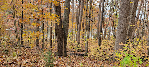 Vacation Home Rental Agency «Country Squire Lakes», reviews and photos, 8 Hoosier Dr, North Vernon, IN 47265, USA