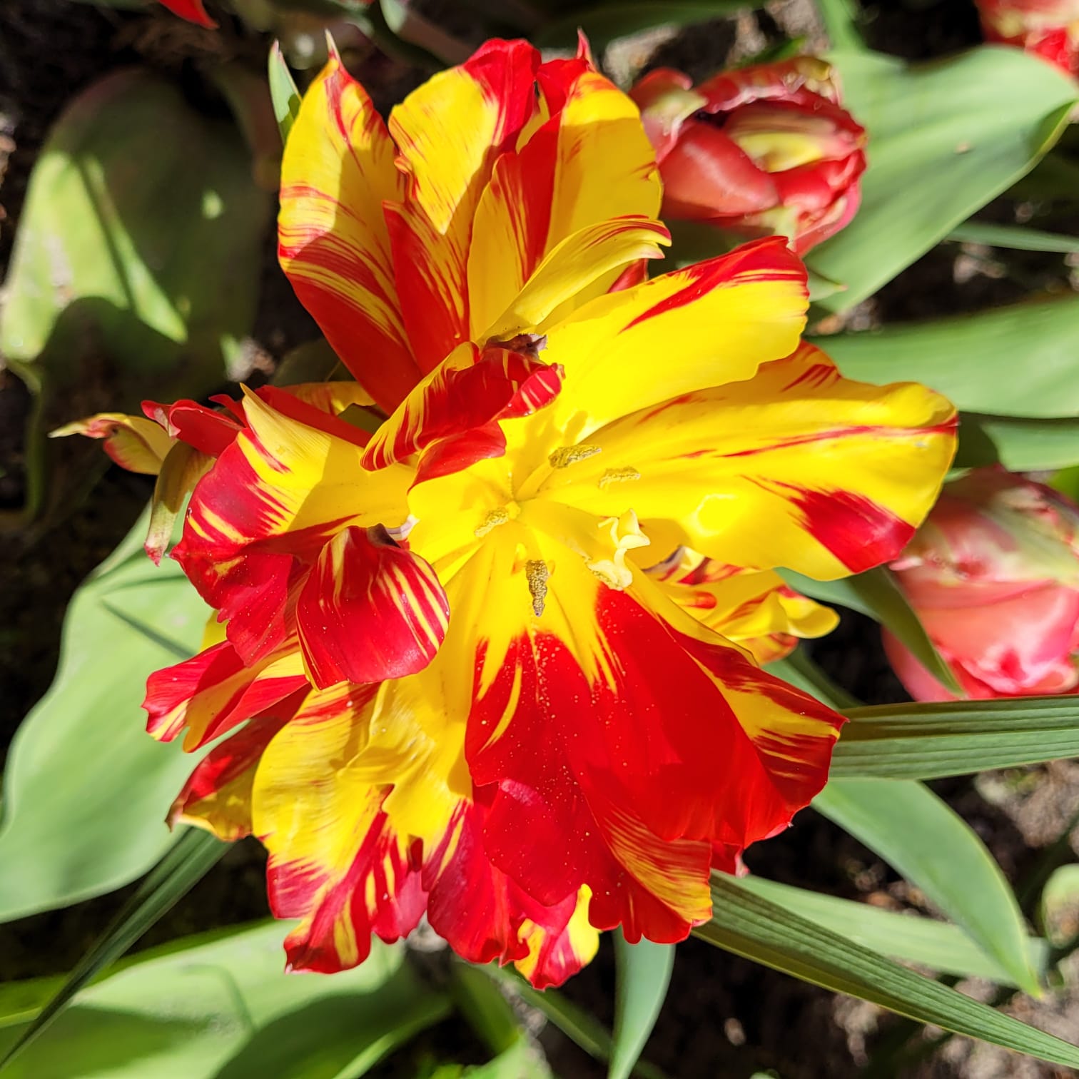 Photo n° 13 de l'avis de The.a fait le 05/04/2023 à 21:57