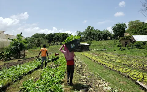 Taino Farm image