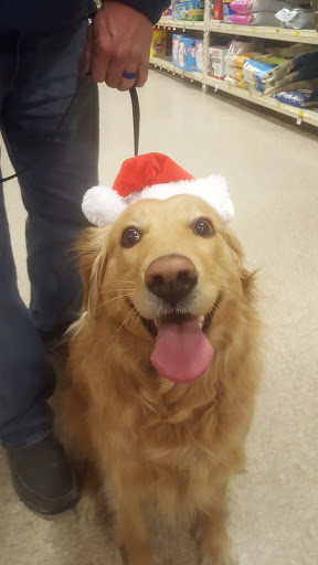 Pet Supply Store «PetSmart», reviews and photos, 2435 Prairie Center Pkwy, Brighton, CO 80601, USA