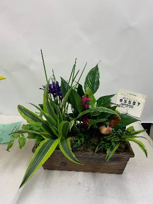 Florist «McShan Florist, Inc.», reviews and photos, 10311 Garland Rd, Dallas, TX 75218, USA