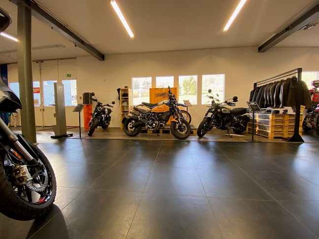 Rezensionen über MotoPro AG in Baden - Motorradhändler