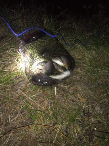 Campground «Hide Away Lakes», reviews and photos, 8045 Van Emmon Rd, Yorkville, IL 60560, USA