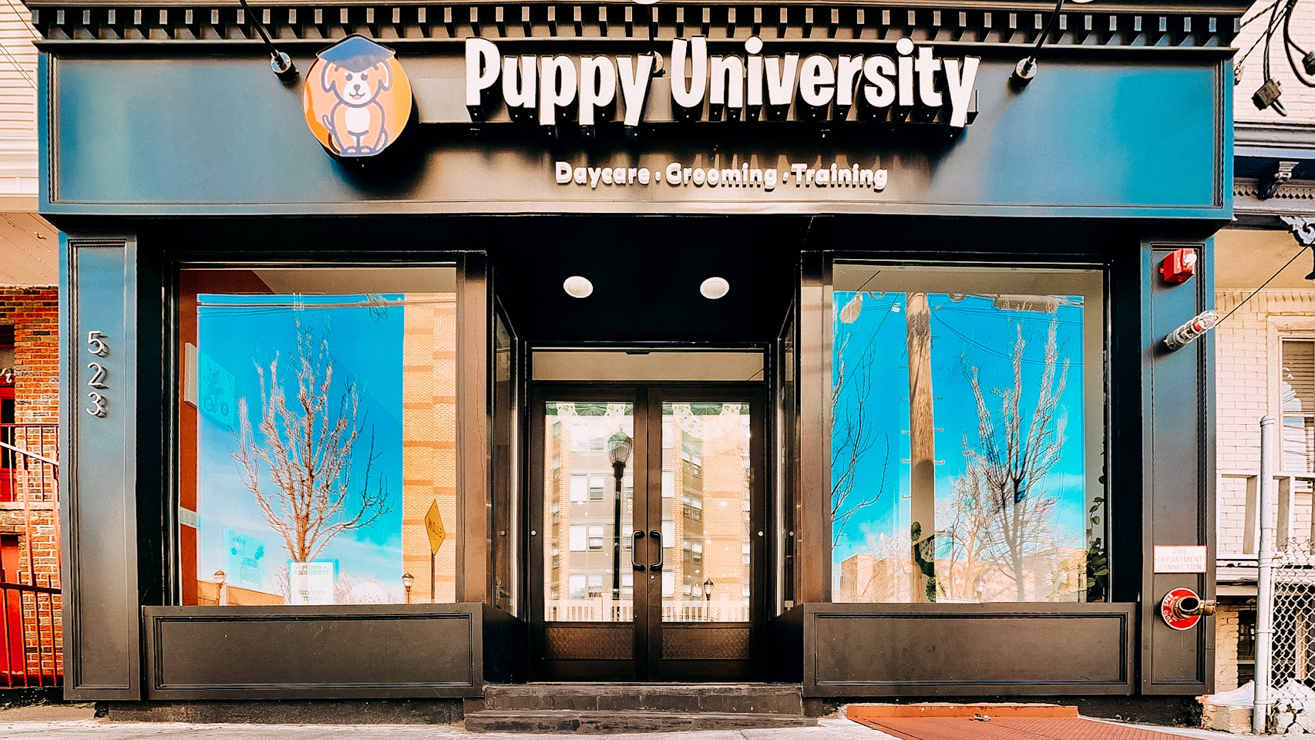 Puppy University
