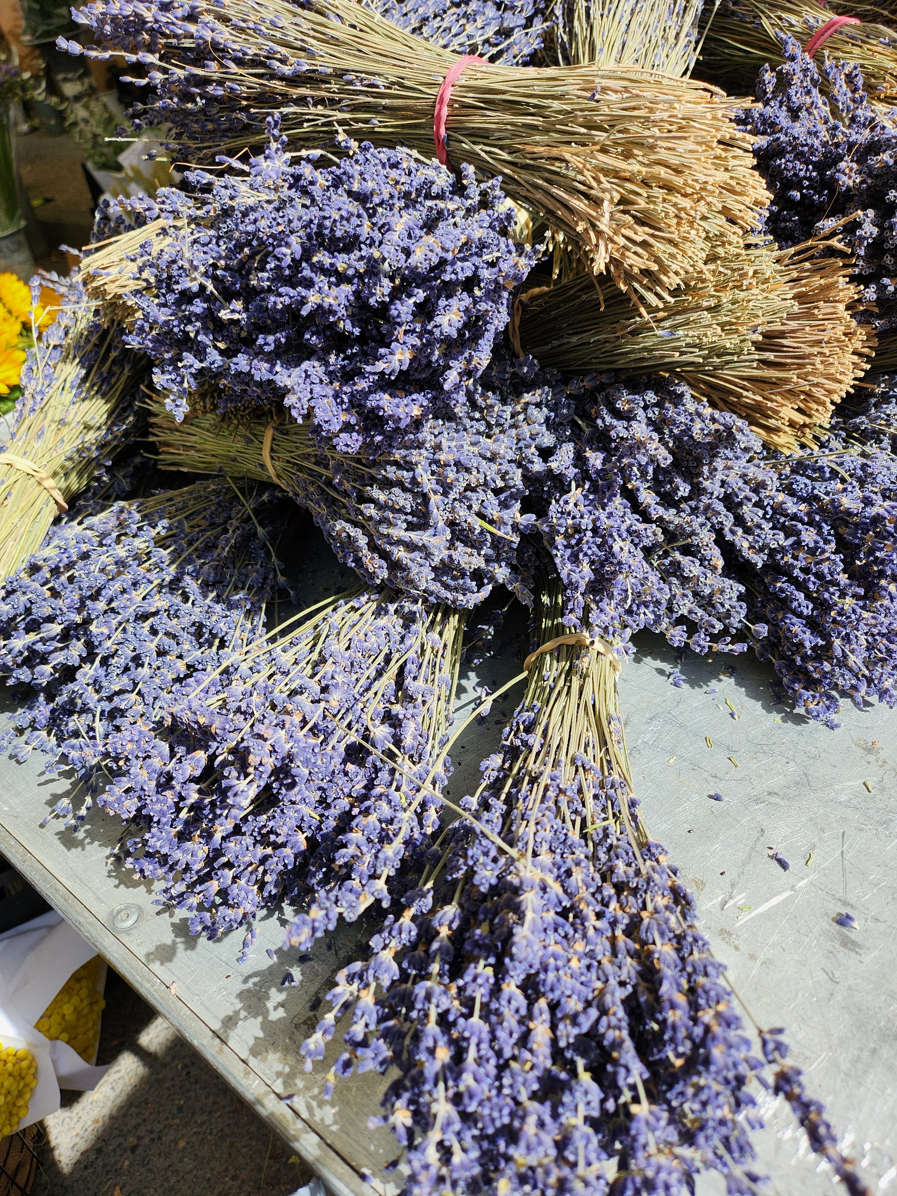 Photo n° 6 de l'avis de Isabelle.a fait le 21/08/2023 à 08:15