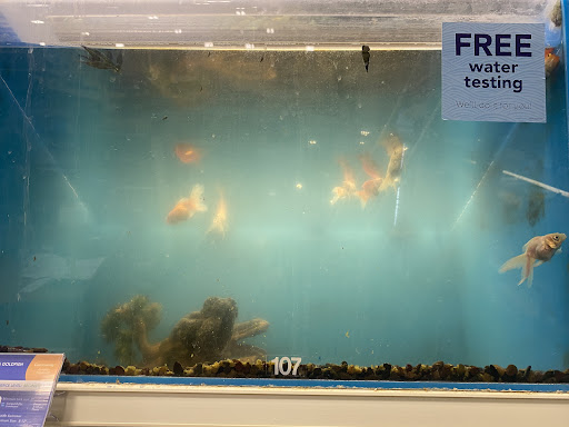 Pet Supply Store «PetSmart», reviews and photos, 1621 E Monte Vista Ave b, Vacaville, CA 95688, USA