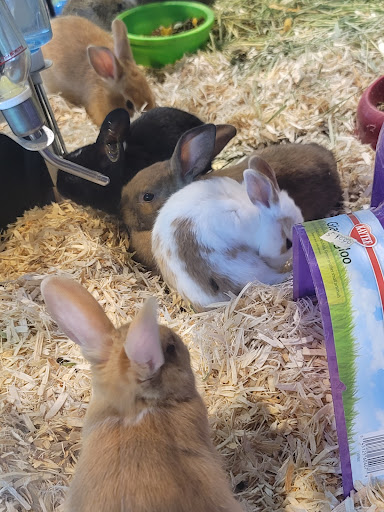 Pet Store «Pet Kingdom», reviews and photos, 4650 S Cleveland Ave, Fort Myers, FL 33907, USA