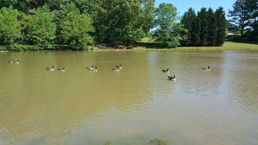 Park «Wild Horse Creek Park», reviews and photos, 3820 Macedonia Rd, Powder Springs, GA 30127, USA