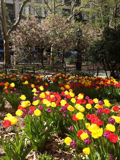 Historical Landmark «The Woolworth Building», reviews and photos, 233 Broadway, New York, NY 10007, USA