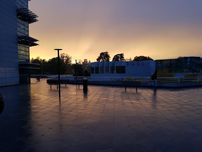 Comentarii opinii despre CEC André-Chavanne