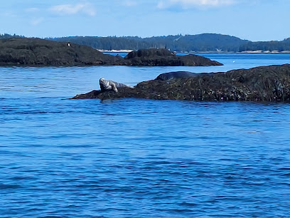 Capt Riddle's Whale Watching