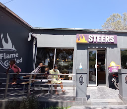 Steers photo