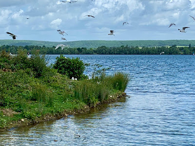 Teleski Nautique Léry Poses à Poses