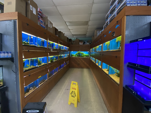 Pet Supply Store «Tropical World Pets», reviews and photos, 8444 Watson Rd, Webster Groves, MO 63119, USA