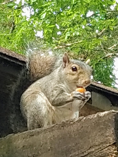 Recreation Center «Shelbyville Recreation Center», reviews and photos, 220 Tulip Tree Rd, Shelbyville, TN 37160, USA