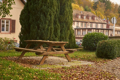 Gîte des Marronniers - Hohwald à Le Hohwald