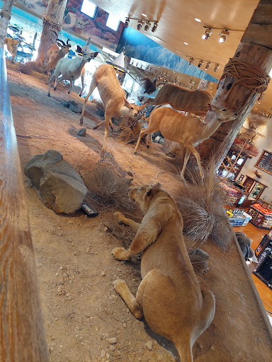 Sporting Goods Store «Bass Pro Shops», reviews and photos, 8200 Dean Martin Dr, Las Vegas, NV 89139, USA