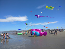 New Brighton Beach'in fotoğrafı ve yerleşim