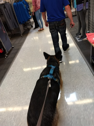 Sporting Goods Store «Academy Sports + Outdoors», reviews and photos, 848 E Barnes Crossing Rd, Tupelo, MS 38804, USA