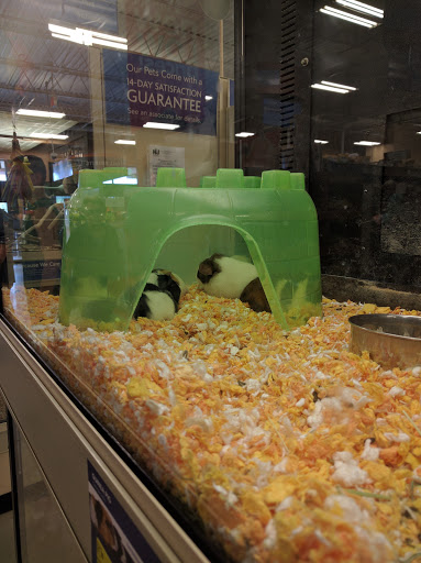 Pet Supply Store «PetSmart», reviews and photos, 300 NJ-18, East Brunswick, NJ 08816, USA