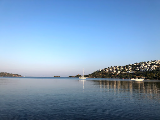 Adabükü Doktorlar Sitesi
