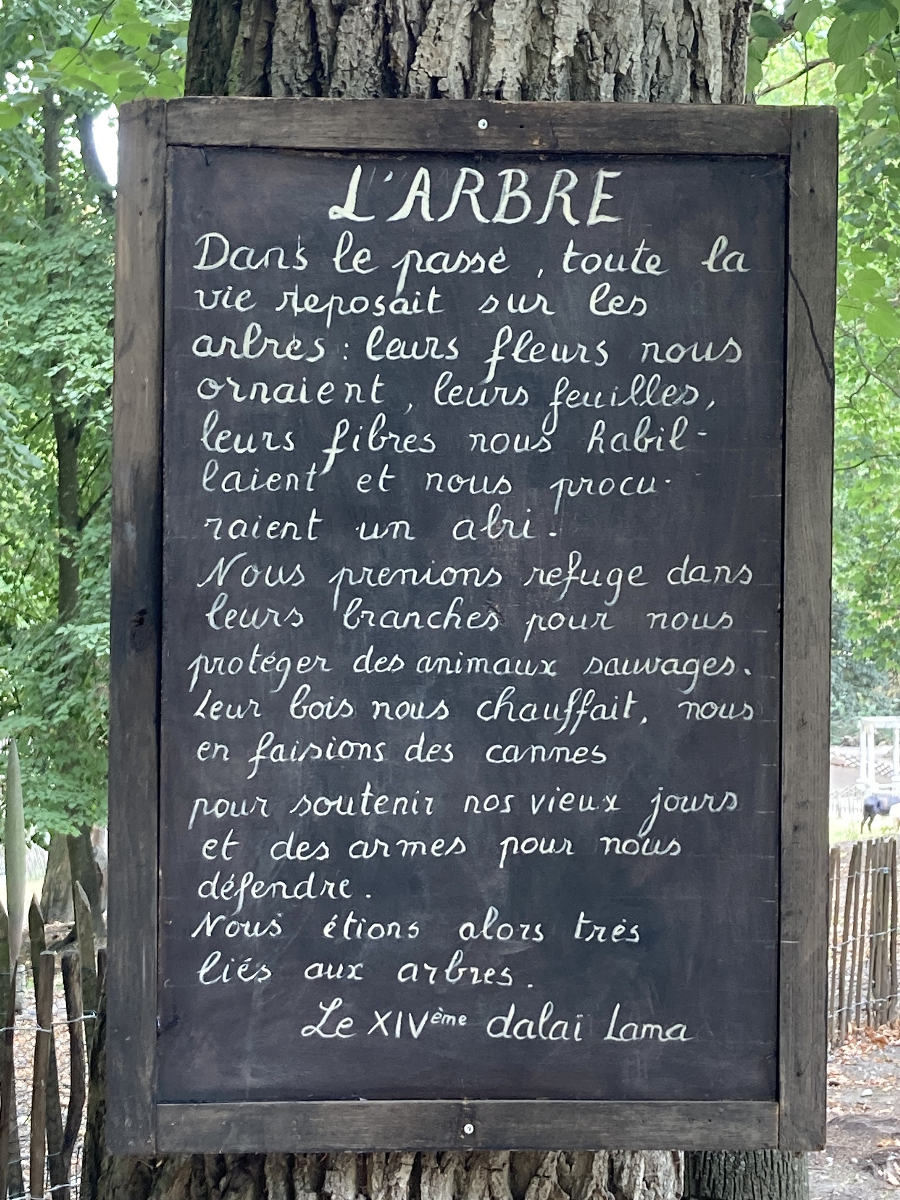 Photo n° 14 de l'avis de Denis.a fait le 16/08/2022 à 17:21