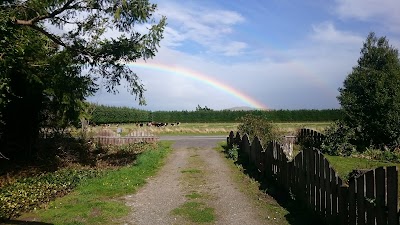Photos of Mount Somers Domain Camping Ground