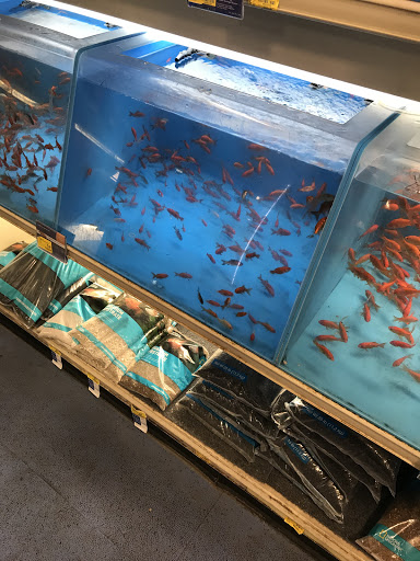 Pet Supply Store «PetSmart», reviews and photos, 3665 Marketplace Blvd, East Point, GA 30344, USA