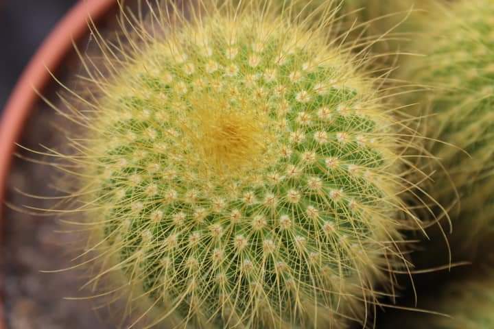 Photo n° 4 de l'avis de maurice.s fait le 06/07/2023 à 16:27
