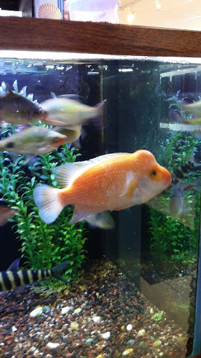 Pet Supply Store «Paws & Claws & Co», reviews and photos, 1801 E Market St, Warsaw, IN 46580, USA