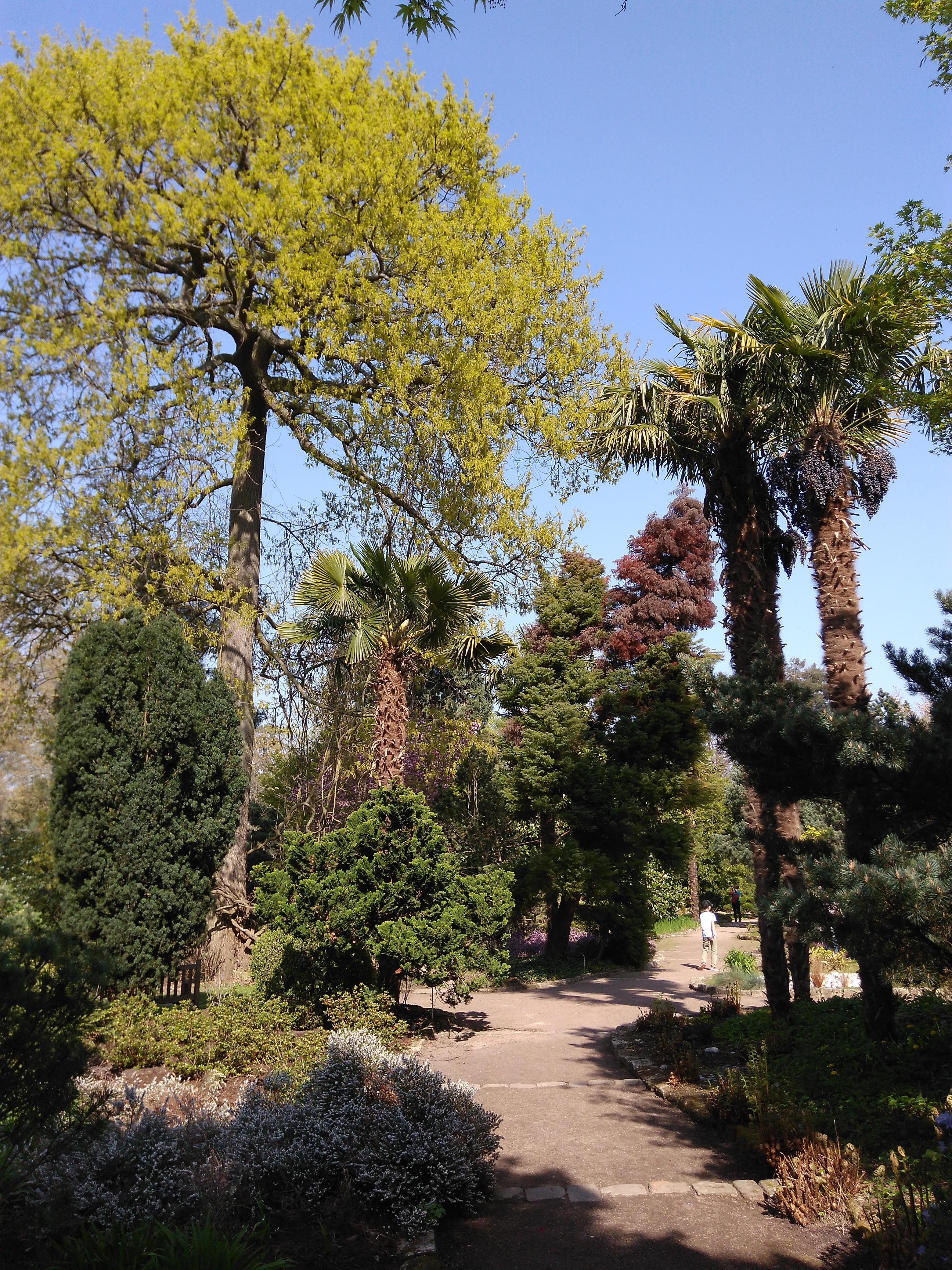 Photo n° 19 de l'avis de Nicolas.a fait le 08/04/2017 à 14:08