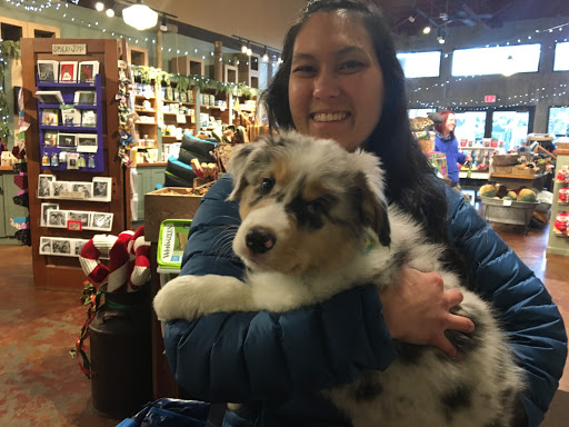 Pet Supply Store «Green Dog Pet Supply», reviews and photos, 4327 NE Fremont St, Portland, OR 97213, USA