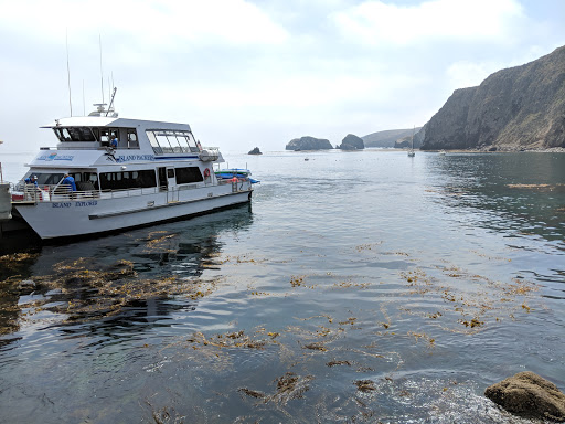 National Park «Channel Islands National Park», reviews and photos