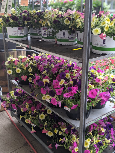 Home Improvement Store «The Home Depot», reviews and photos, 244 US-202, Flemington, NJ 08822, USA