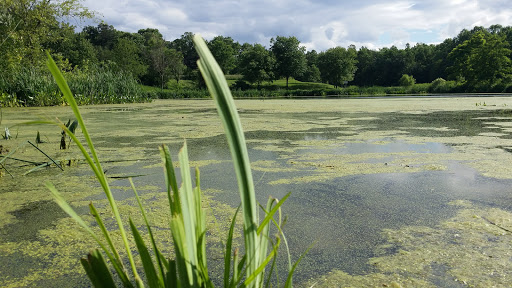 Park «Fairland Recreational Park», reviews and photos, 3928 Greencastle Rd, Burtonsville, MD 20866, USA