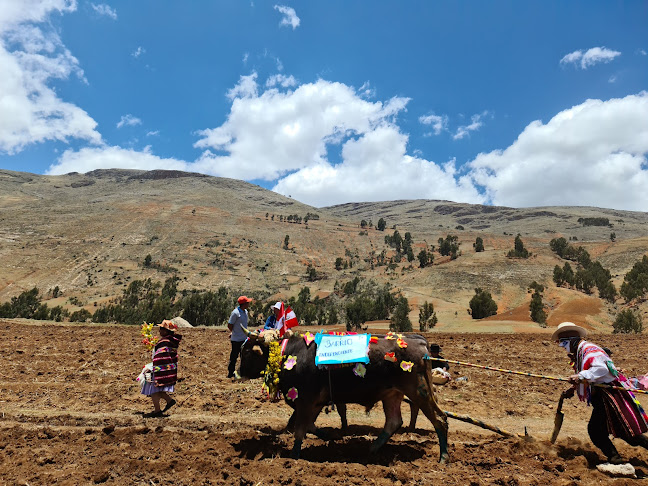 Opiniones de Comunidad de Tinyari Grande en Chongos Bajo - Asociación