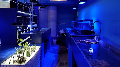 Aquarium «Deep Blue Aquarium», reviews and photos, 5611 Willowcrest Ave, North Hollywood, CA 91601, USA