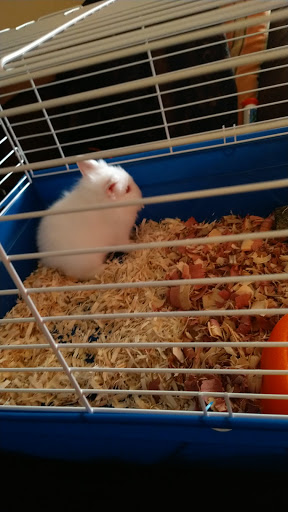 Pet Store «Pet World Ltd», reviews and photos, 14501 Warwick Blvd, Newport News, VA 23608, USA