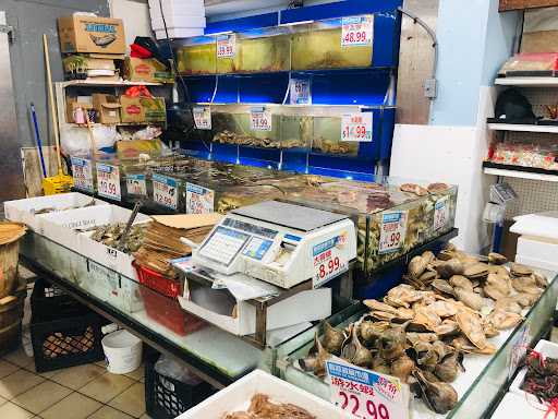 Asian Grocery Store «Chung Fat Supermarket», reviews and photos, 41-82 Main St, Flushing, NY 11355, USA