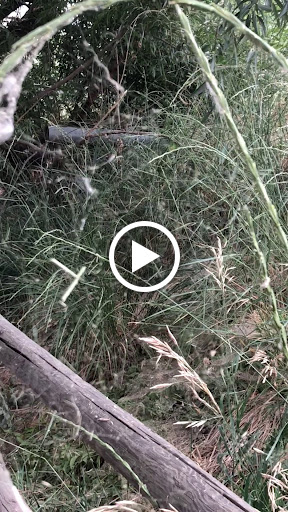 Nature Preserve «Wilson Springs Ponds», reviews and photos, 3209-3507 S Powerline Rd, Nampa, ID 83686, USA