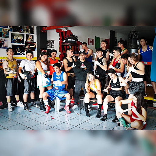 The Fight Club Escuela De Boxeo