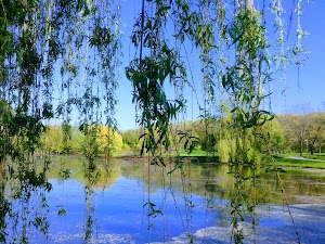 Greenfield Park - photo 61